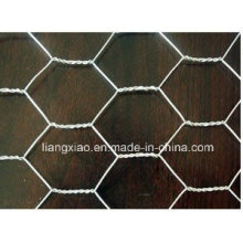 Hexagona Gabion Mesh / Auffahrt Pflasterstein Mesh (HPZS3006)